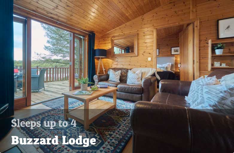 buzzard Luxury Lodges Lake District with hot tub - The Tranquil Otter