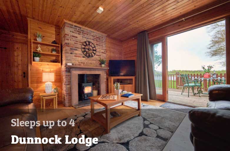 dunnock-1 Luxury Lodges Lake District with hot tub - The Tranquil Otter